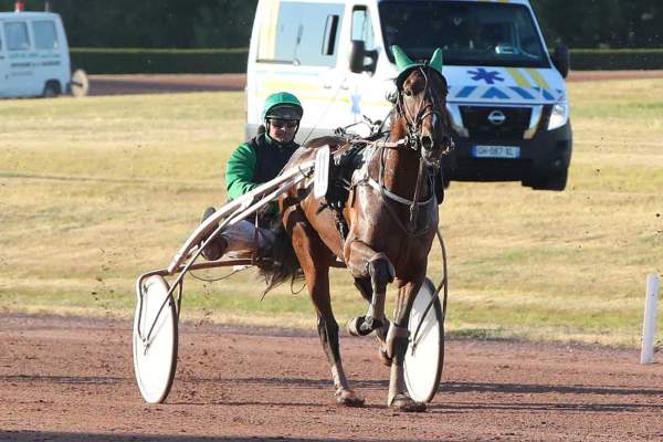 Photo de MAN IN LOVE cheval de TROT ATTELE