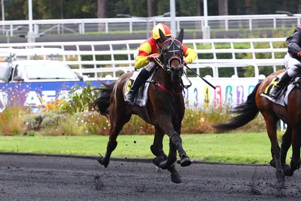 Photo de MAZAL DES GLENAN cheval de TROT MONTE