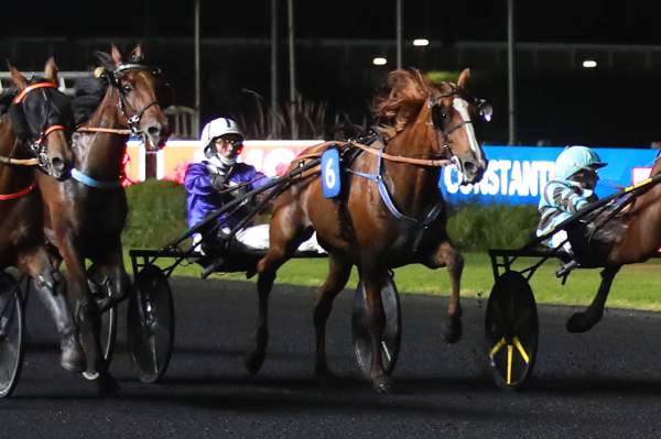 Photo de JANA D'ARMOR cheval de TROT ATTELE