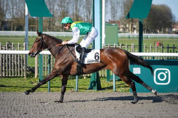 La photo de The Last Dance 