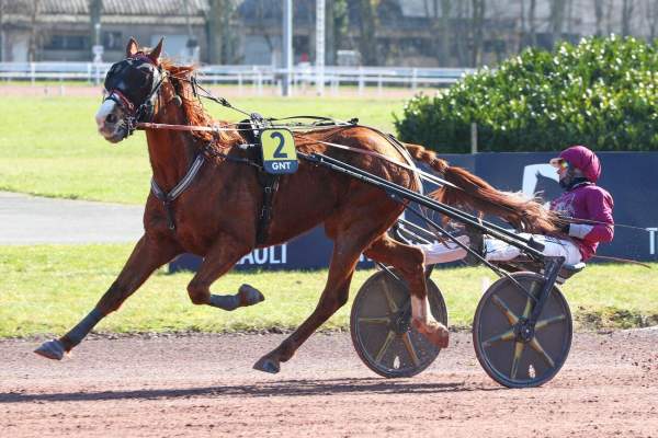 La photo de Jentil Dieschoot Arrivée Quinté+ Pmu 1ere Du Grand National Du Trot 2026 à Amiens
