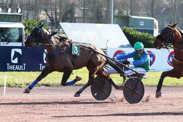 La photo de Kimmajo arrivée pmu Prix Fuga Formation à Amiens