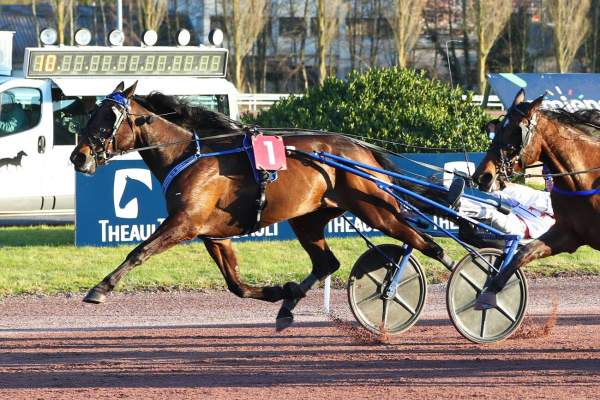 Photo de ISLA cheval de TROT ATTELE