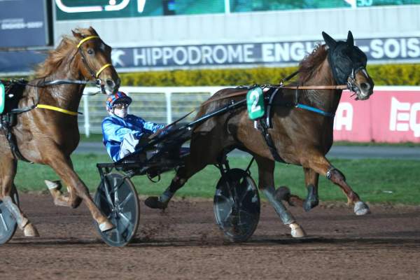 Photo de NEO DE JOUDES cheval de TROT ATTELE