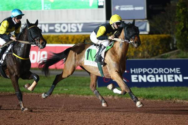 Photo de NELSON THORIS cheval de TROT MONTE