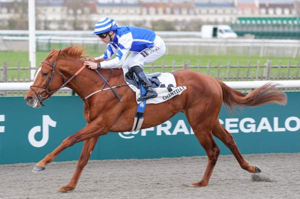 Photo de MR LOPE CEN cheval de PLAT