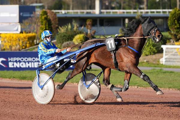 La photo de My Dream Du Grais 