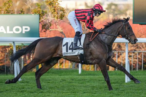 Photo de EL PROFESSOR CHOP cheval de PLAT