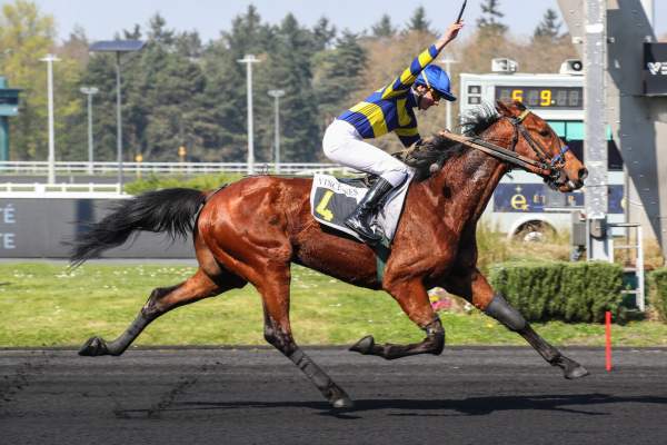 Photo de KENTUCKY FIRST cheval de TROT MONTE