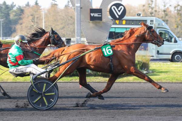 Photo de MENTOR DE PLAY cheval de TROT ATTELE