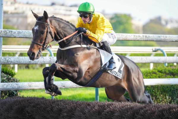 Photo de EDAMURA cheval de STEEPLE CHASE