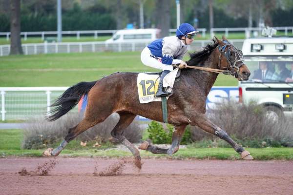 Photo de GARD cheval de TROT MONTE