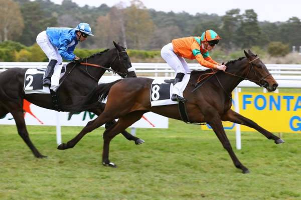 Photo de VICTORIA SECRET cheval de PLAT