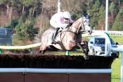 La photo de Allure arrivée pmu Prix Fer A Cheval à Fontainebleau