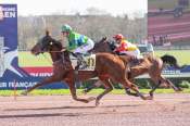 La photo de Lion Des Isles arrivée pmu Prix de Tinchebray à Caen