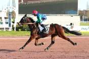La photo de Jihere Du Poret arrivée pmu Prix king Black à Amiens