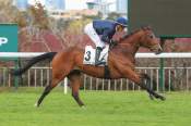 La photo de Pearled Majesty arrivée pmu Prix Gris Perle à Saint-Cloud