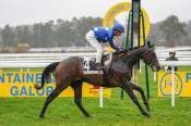 La photo de Highara arrivée pmu Prix de la Plâtrerie d'Apremont à Fontainebleau