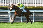 La photo de No Limits Steve Arrivée Quinté+ Pmu Prix General De Rougemont à Auteuil