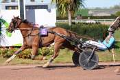 La photo de Katchi Quick Arrivée Quinté+ Pmu Prix De La Ville De Vire Normandie