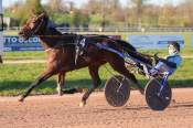 La photo de Laldo Louzeen arrivée pmu Prix le Bistrot Saint-Jean à Flers - Hippodrome de Vire