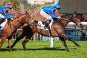 La photo de Marquisat arrivée pmu Prix de la Porte de Madrid (L) à Saint-Cloud