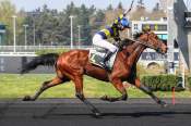 La photo de Kentucky First arrivée pmu Prix de Langres à Paris-Vincennes