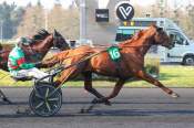La photo de Mentor De Play arrivée pmu Prix de Guegnon à Paris-Vincennes