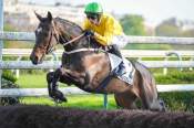 La photo de Edamura arrivée pmu Prix de Pepinvast à Auteuil