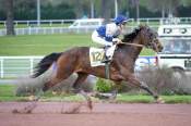 La photo de Gard 