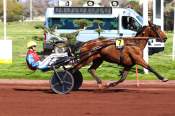La photo de Je Te Cherche Arrivée Quinté+ Pmu Grand National Du Trot - Prix Bulle De Laumont à Marseille Borely