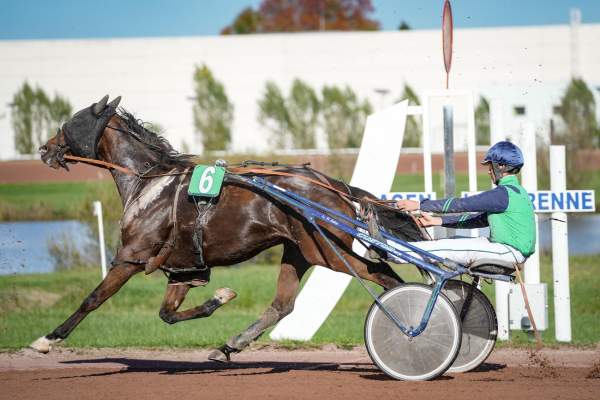 Photo de LEWIS D'EVRON cheval de TROT ATTELE