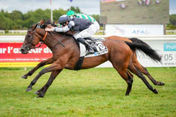 Photo de TORNILLA cheval de PLAT