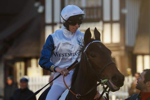 Photo de LADY SOFIA cheval de PLAT