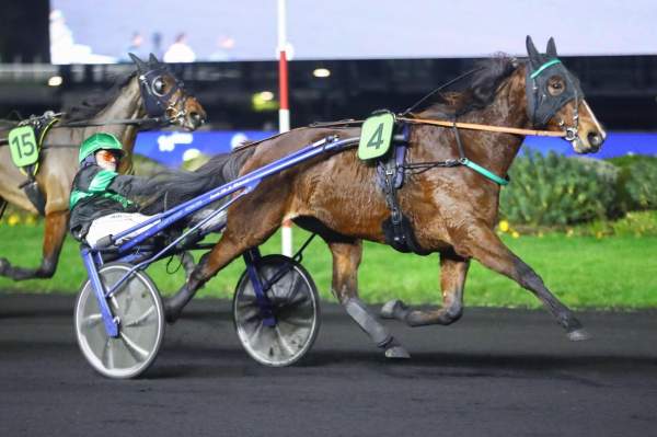 Photo de LEA D'ATOUT cheval de TROT ATTELE