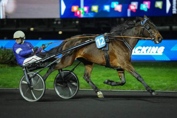 Photo de KETBERNY cheval de TROT ATTELE