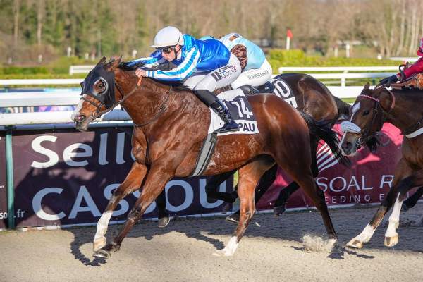 Photo de ZASTER FOR ALL cheval de PLAT