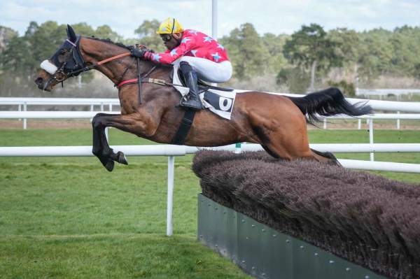 Photo de WALKS LIKE THE MAN cheval de STEEPLE CHASE