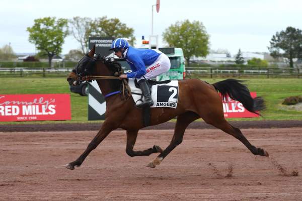 Photo de JOKER DE FROULAY cheval de TROT MONTE