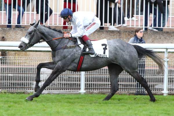 Photo de ALMARITA cheval de HAIES