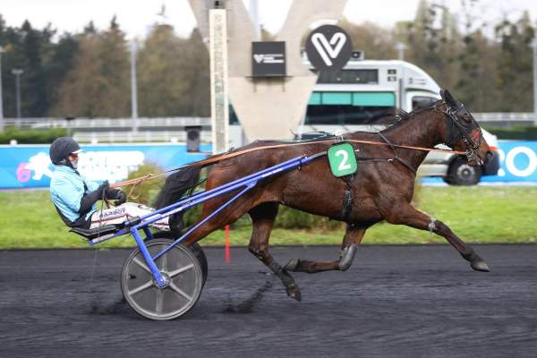 La photo de Kiwi De Connee arrivée pmu Prix Cephens à Vincennes