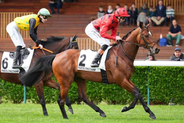 Photo de THE ODYSSEY cheval de PLAT