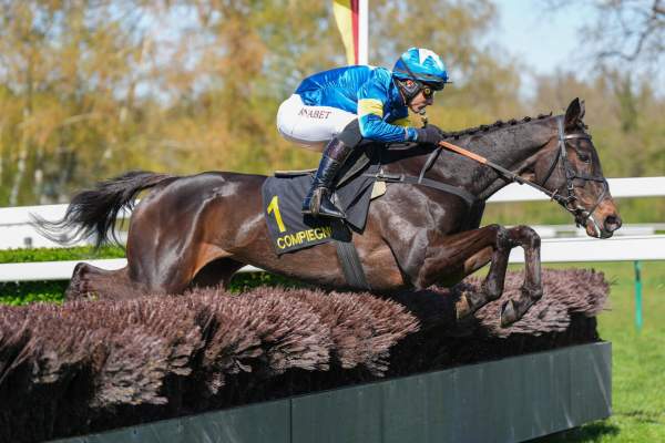 Photo de NOIRE WULF cheval de HAIES