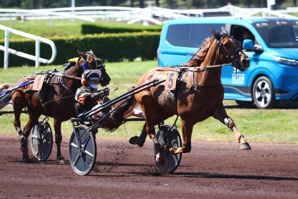 Photo de NOVIALO cheval de TROT ATTELE
