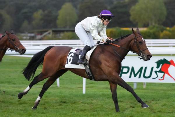 Photo de RIO cheval de PLAT