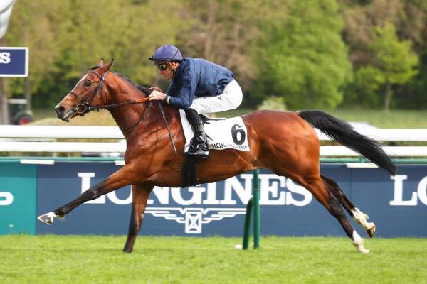 La photo de Pearled Majesty arrivée pmu Prix Noeilles (Gr.III) à Longchamp