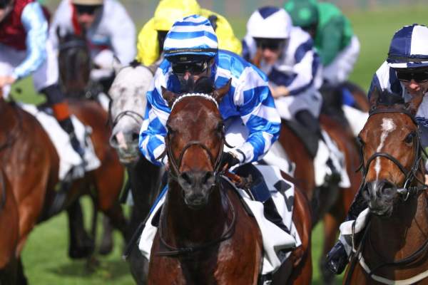La photo de MY CALYX CEN arrivée pmu Prix Sigy (Gr.III) à Chantilly