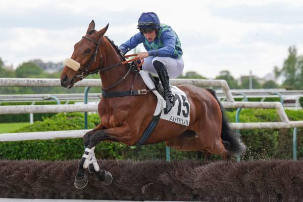 Photo de HURON BLEU cheval de HAIES