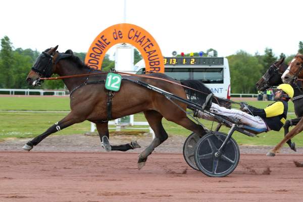 Photo de LEZZO FIGHTER cheval de TROT ATTELE