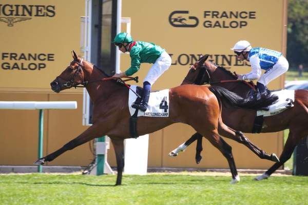 La photo de Asmarani Arrivée PMU Prix de Barbeville 2026 à ParisLongchamp